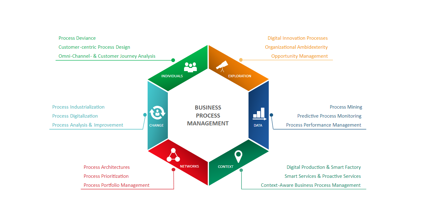 How to become successful in the IT industry in the BPM domain?