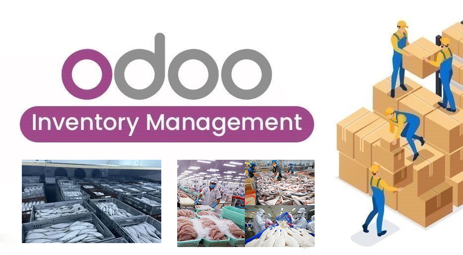 Challenges in Cold Storage Management in the Seafood Industry and Odoo Inventory Solutions