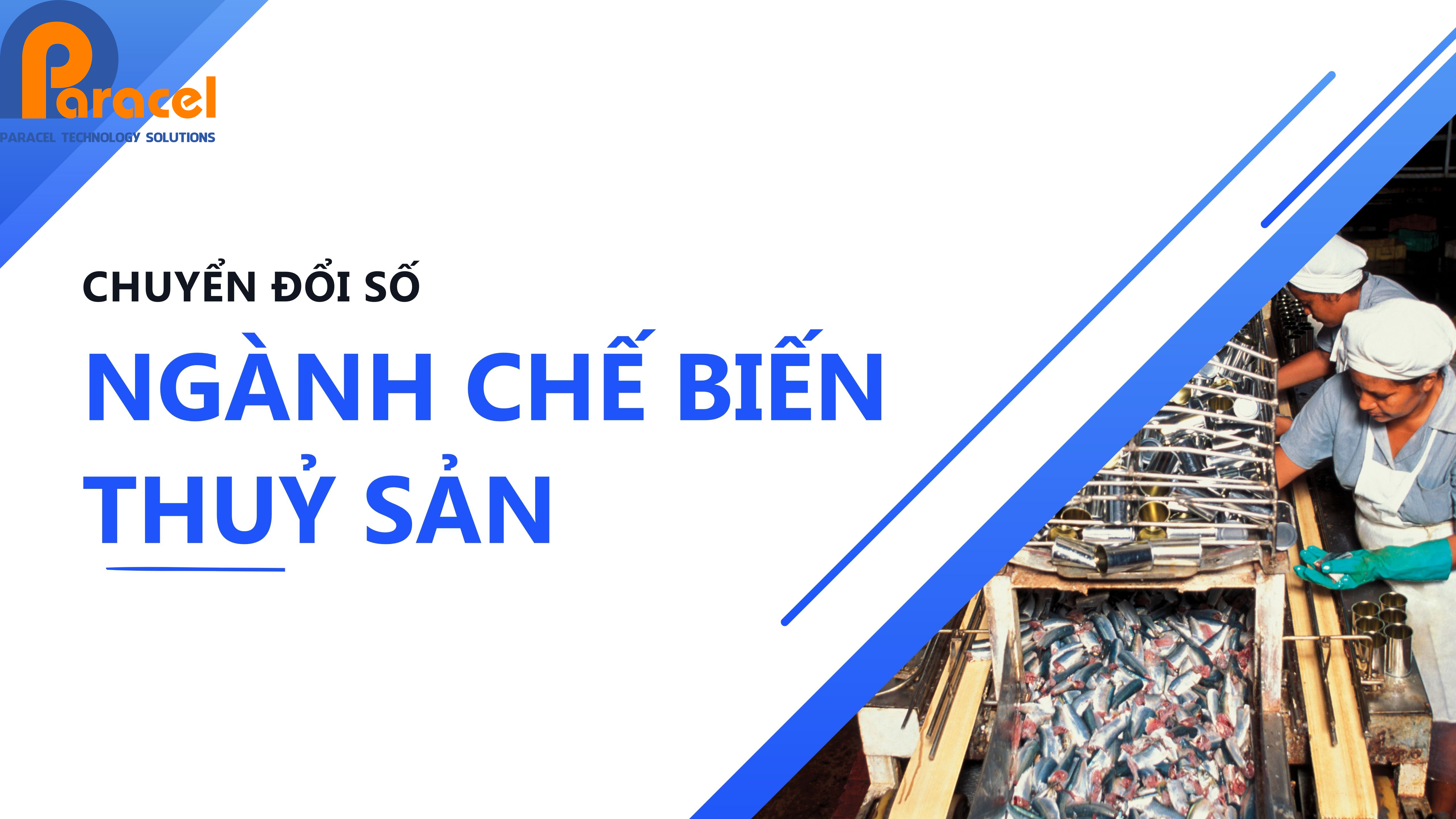Chuyển Đổi Số trong Ngành Chế Biến Thuỷ Sản: Cẩm Nang Cho Doanh Nghiệp Vừa và Nhỏ